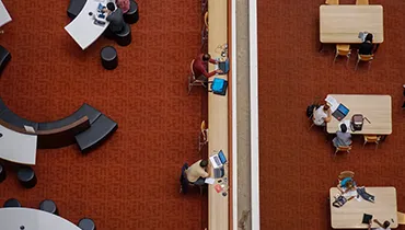 Informacja naukowa i bibliotekoznawstwo