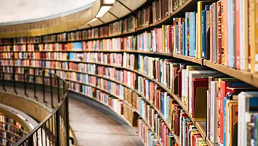 Informacja naukowa i bibliotekoznawstwo